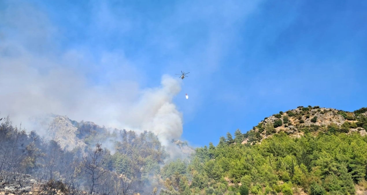 serikteki orman yangininda 1 gozalti 1yC2y3uA