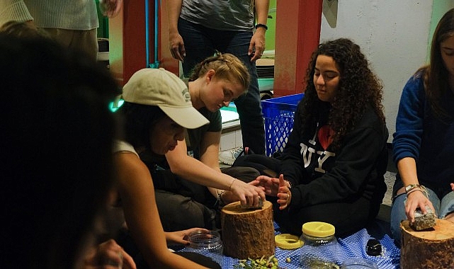 ayvalikta uluslararasi genclik projesi kapsaminda zeytin kulturu deneyimi EMsVkNAQ